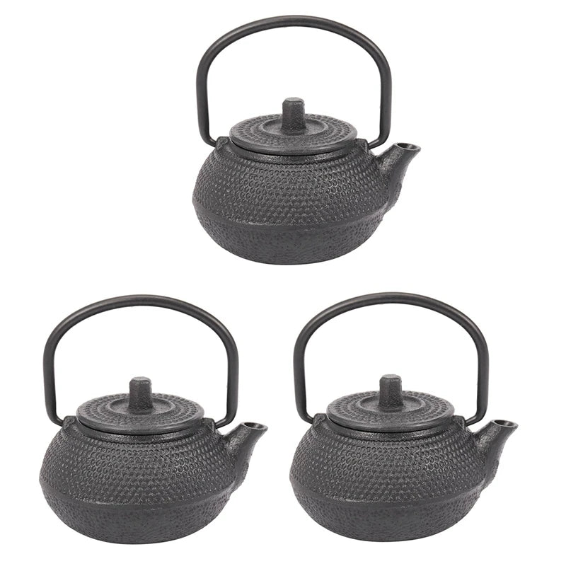 Japanese Cast Iron Teapot Set (3pcs)